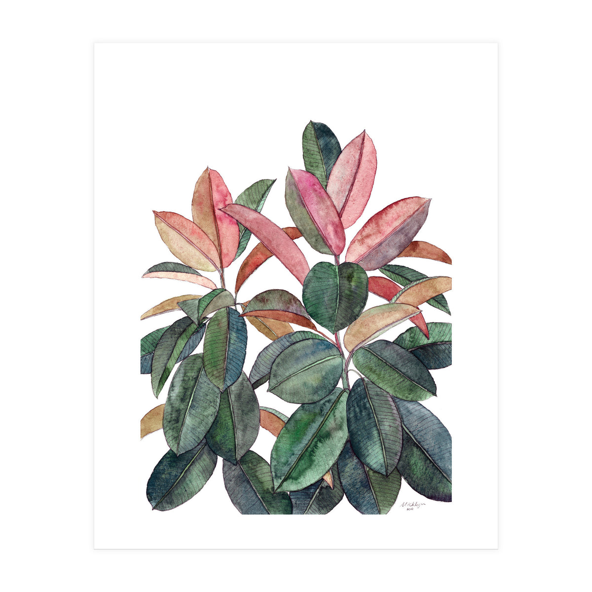 Rubber Plant (Print Only)