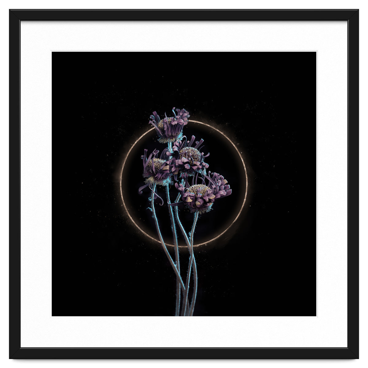 Candy-Coloured Mystery