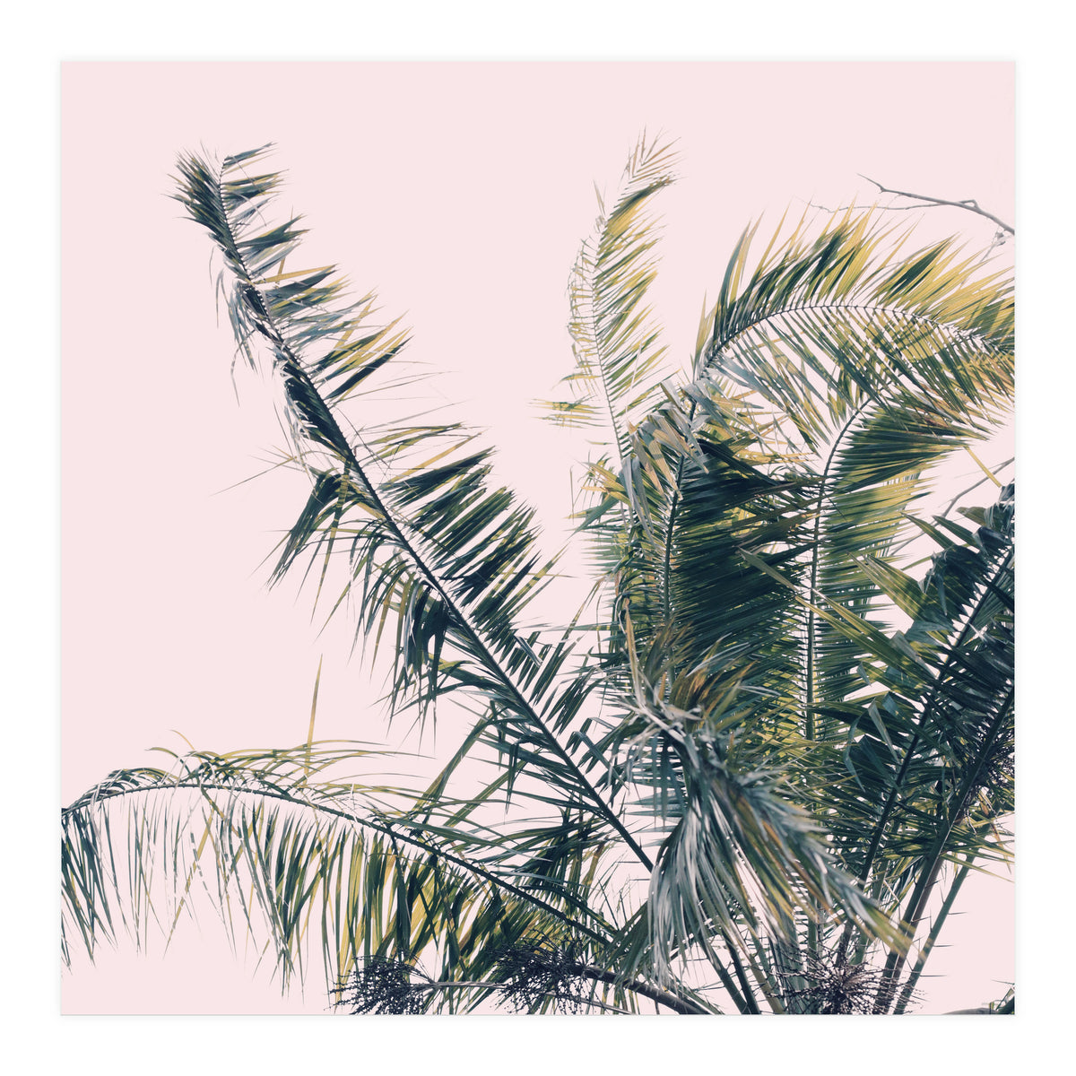 Winds Of Change #1 (Print Only)