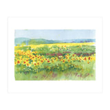 Sunflowers field  (Print Only) thumbnail