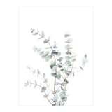 Eucalyptus Branch (Print Only) thumbnail