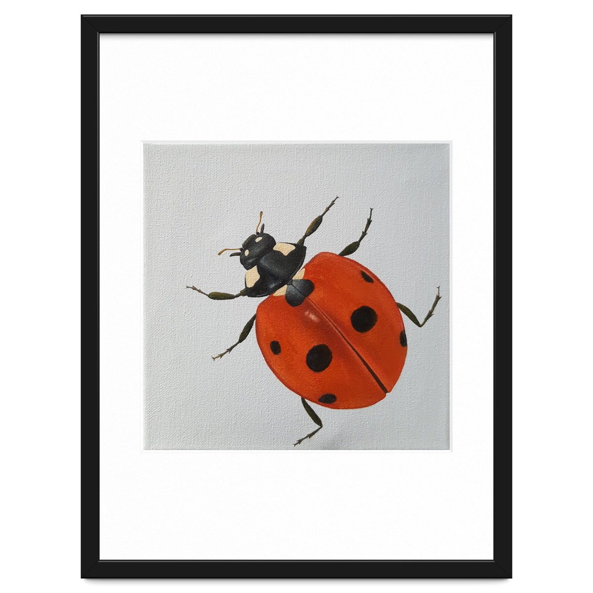 Ladybird