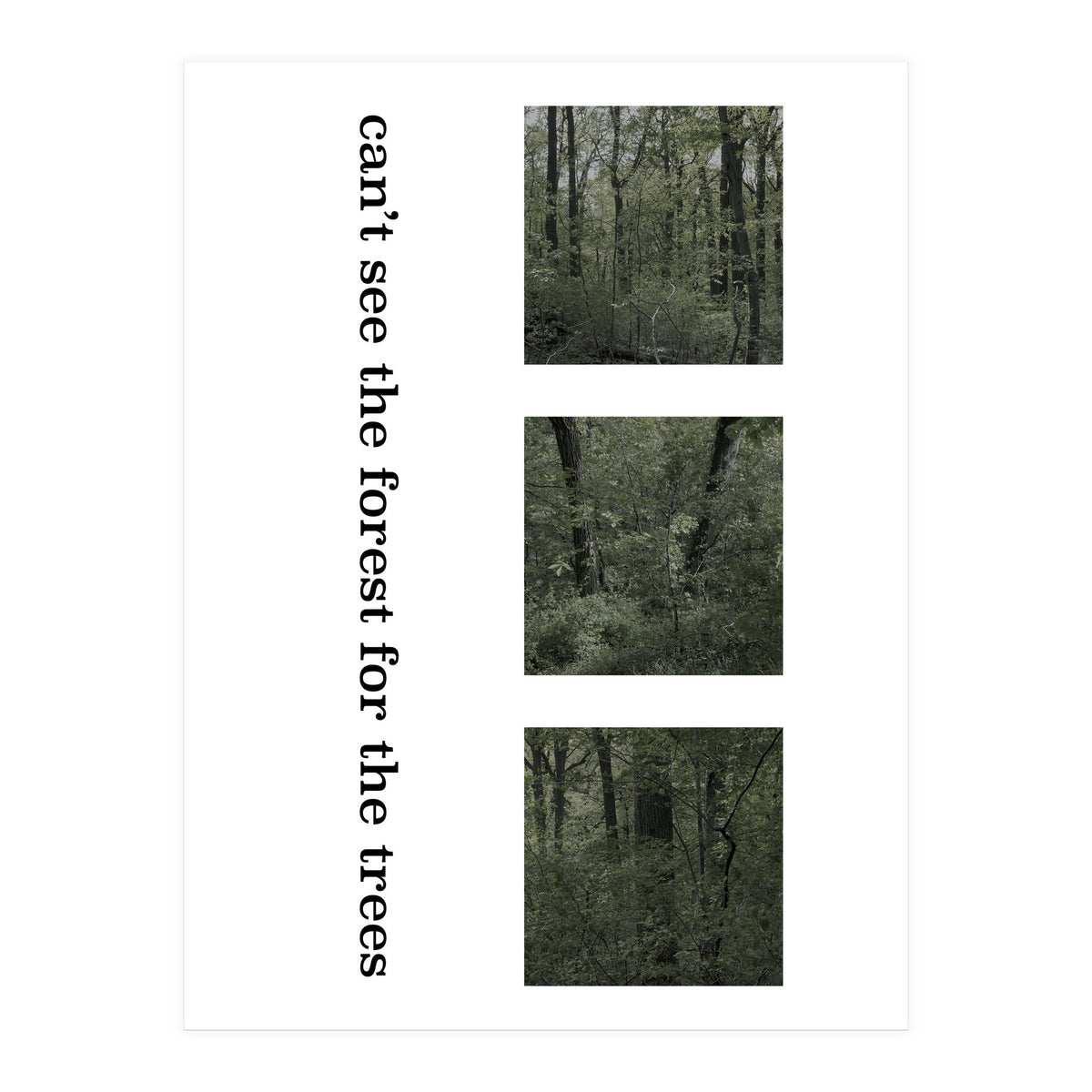 can’t see the forest for the trees (Print Only)