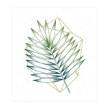 Geometry And Nature IV (Print Only) thumbnail