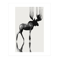 Moose  (Print Only)