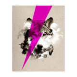 Wolf Rocks (Print Only) thumbnail