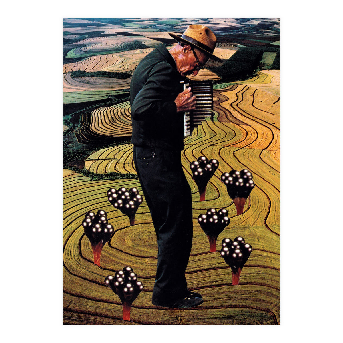 Accordion (Print Only)