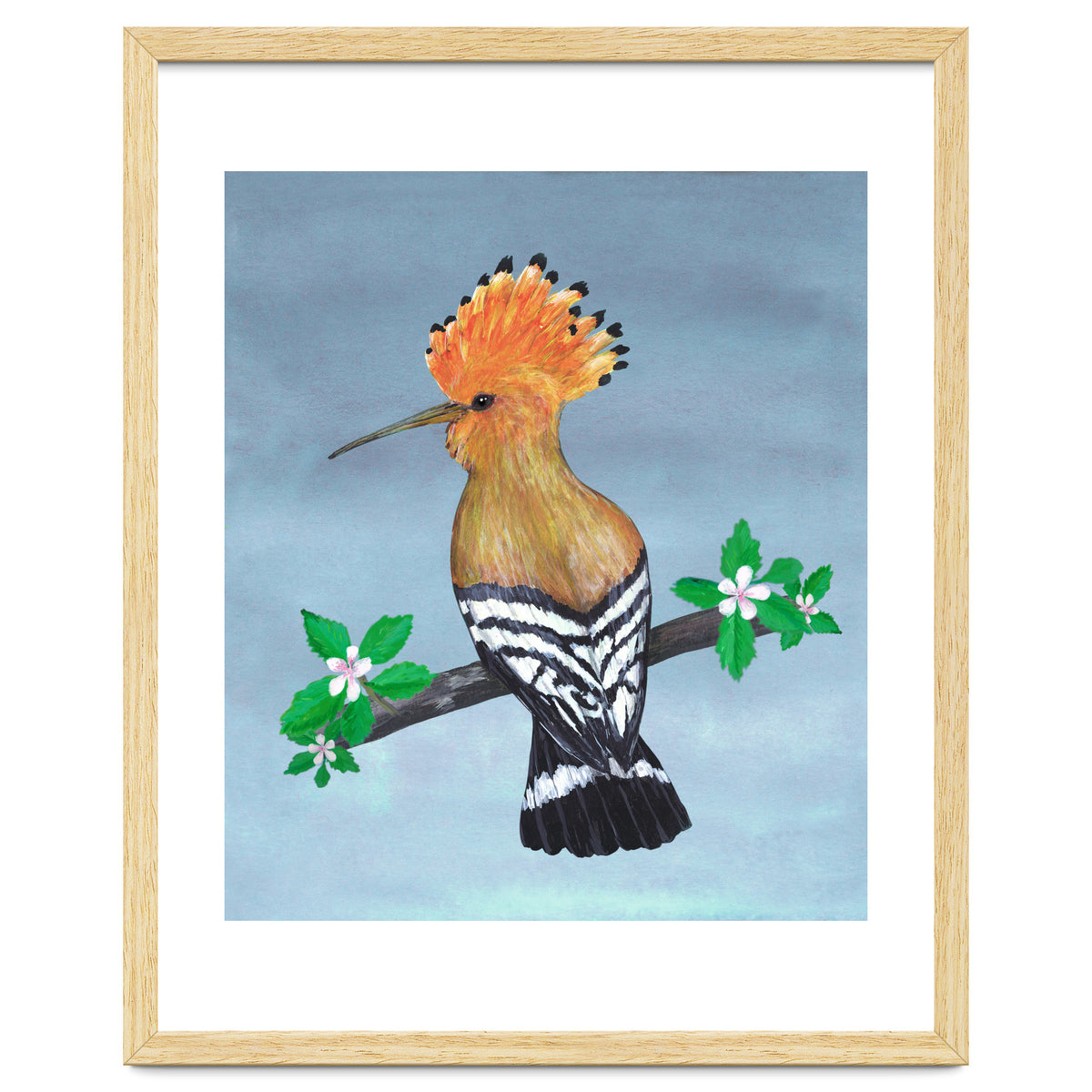 Hoopoe bird