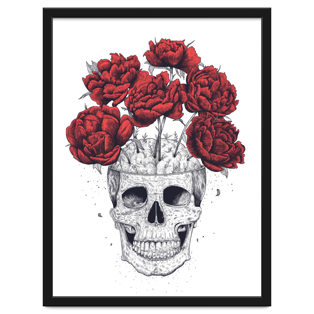Skull With Peonies