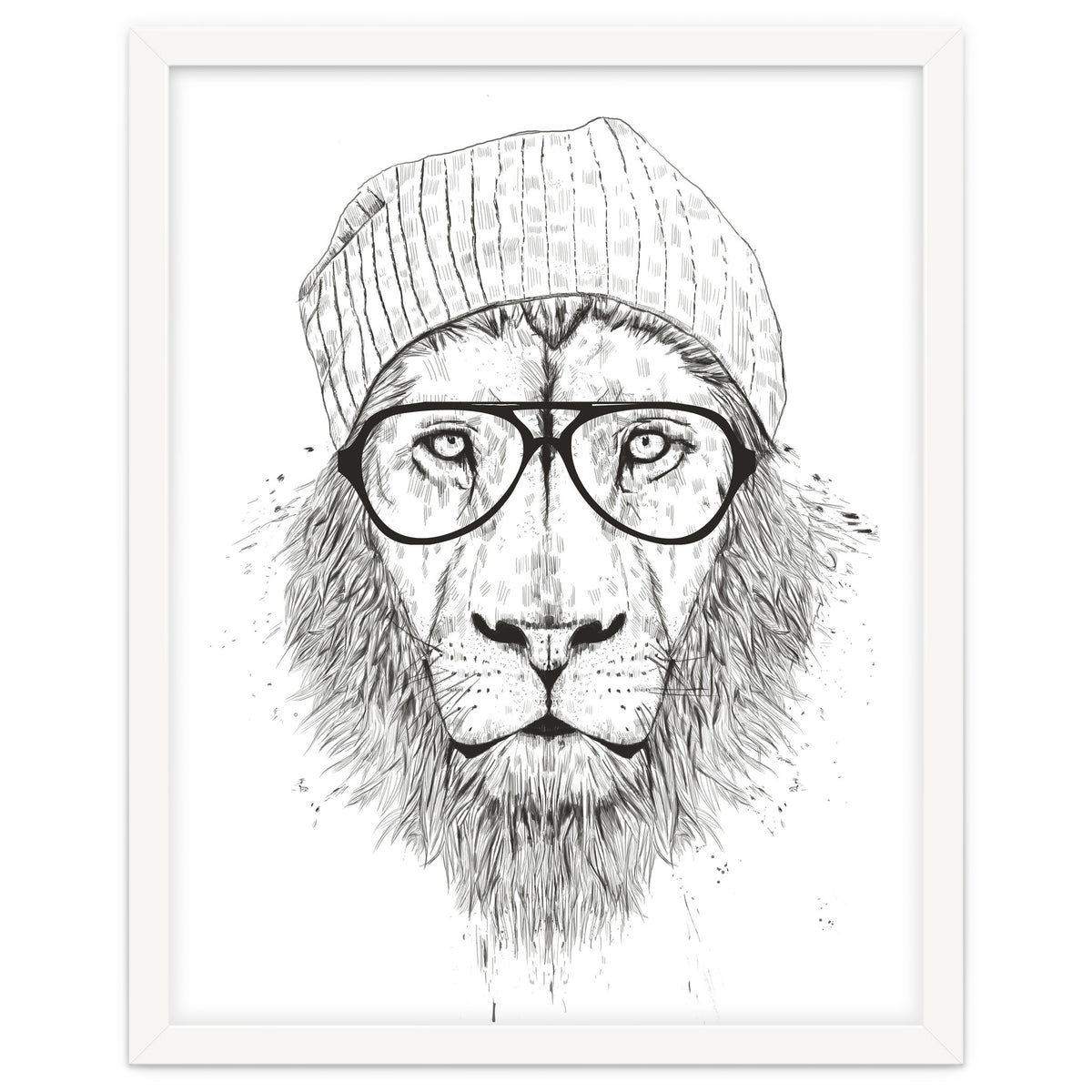 Cool Lion Bw