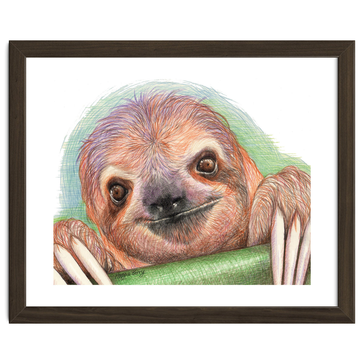 Smiling Sloth