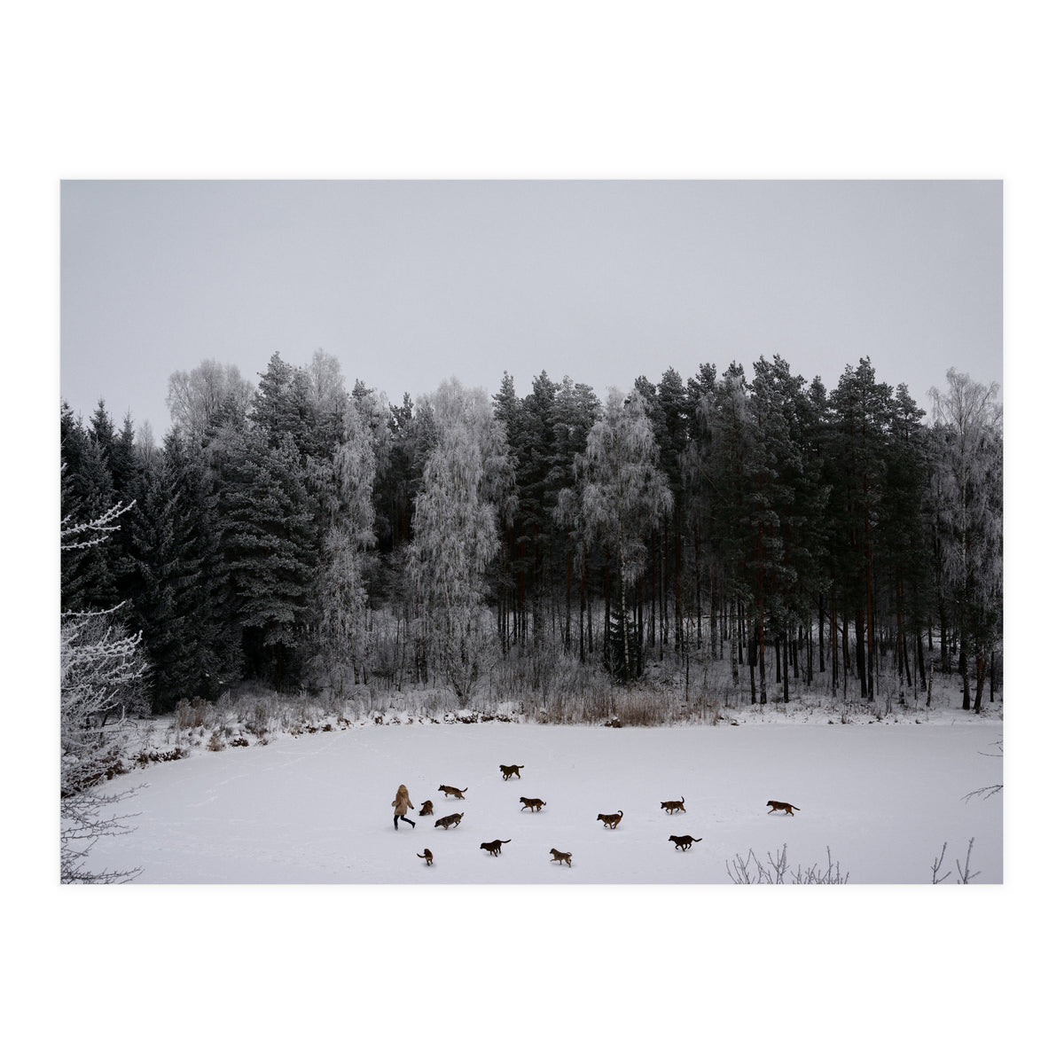 Wild Tales (Print Only)