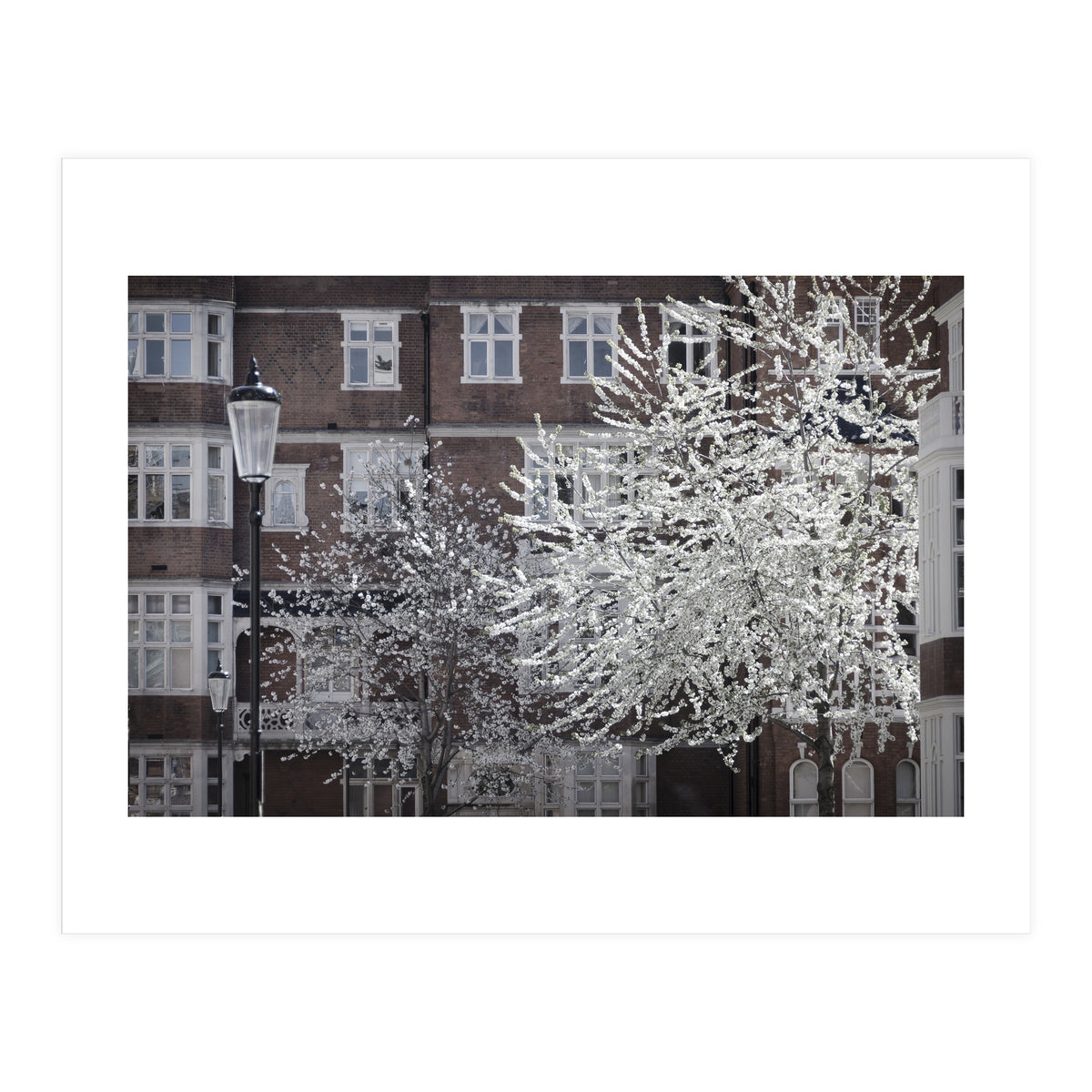 Chelsea Spring  (Print Only)