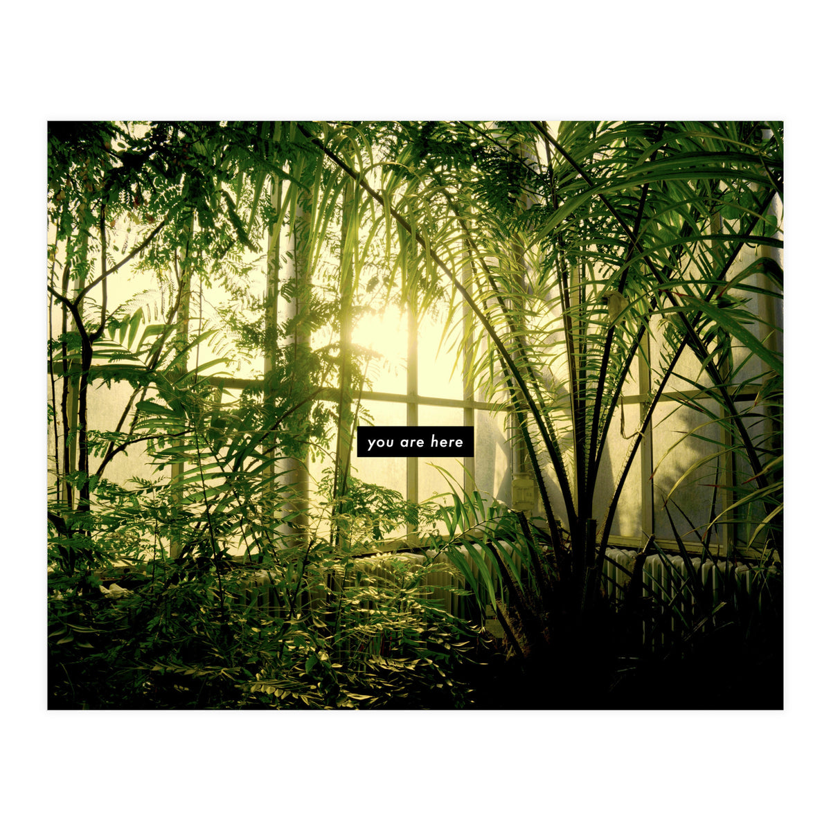 you are here - Nature Photography -  (Print Only)