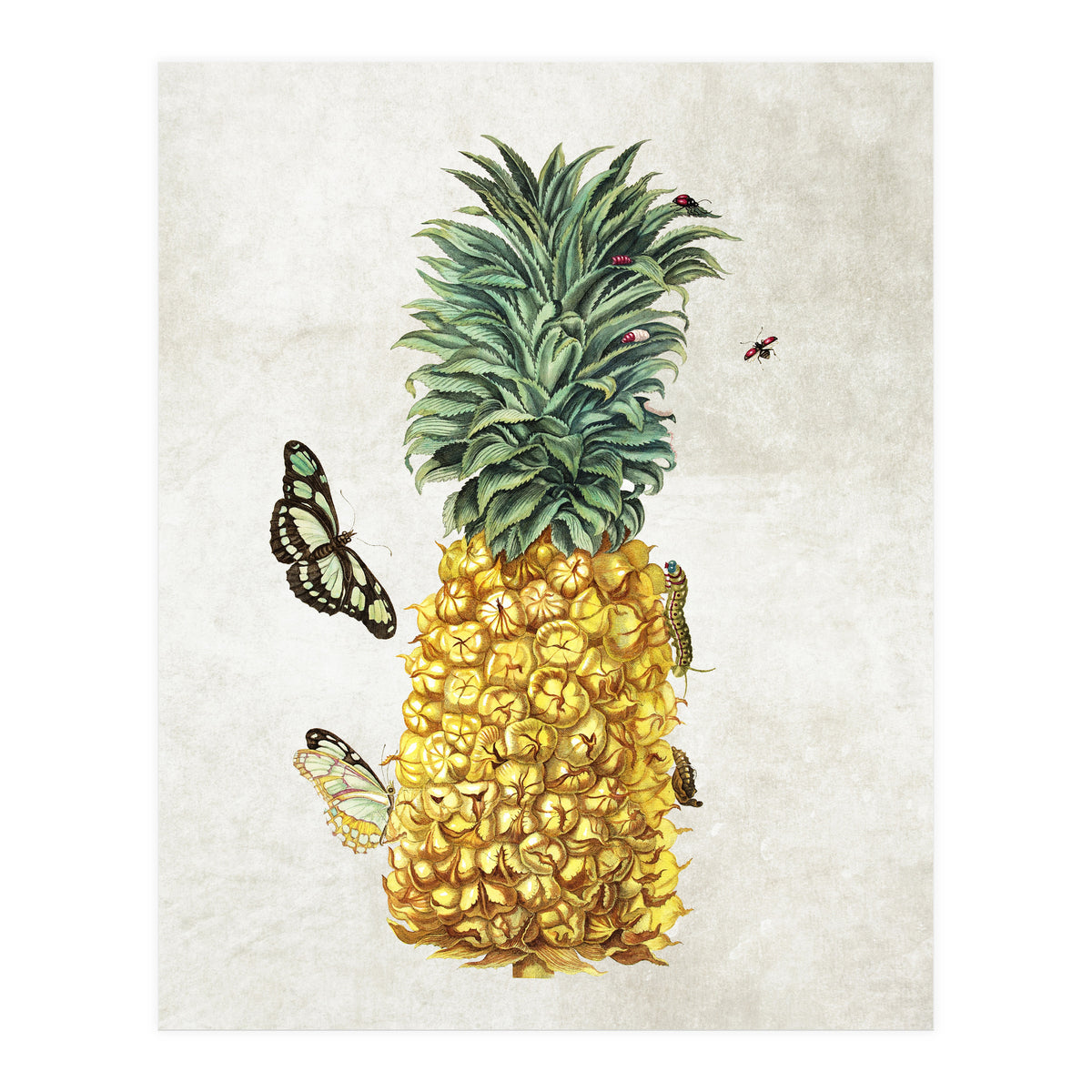 ananas (Print Only)