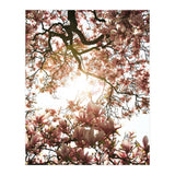 Magnolia tree (Print Only) thumbnail