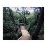Glen Canyon Park (Print Only) thumbnail