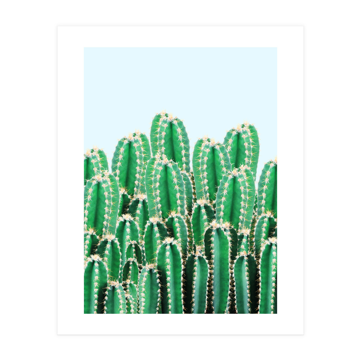 Kaktos II (Print Only)