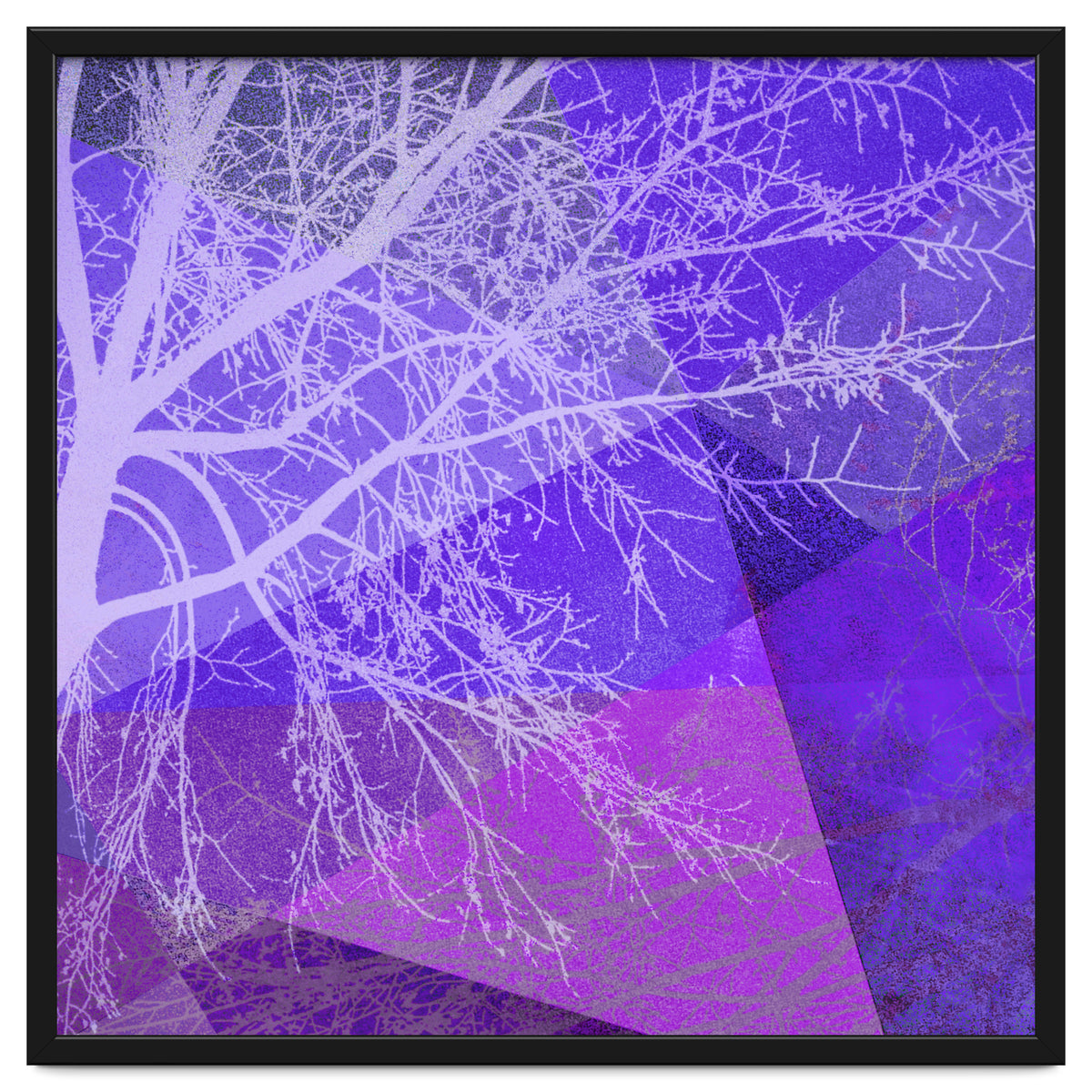 P19-D2 Trees and Triangles