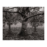Golgotha (Print Only) thumbnail