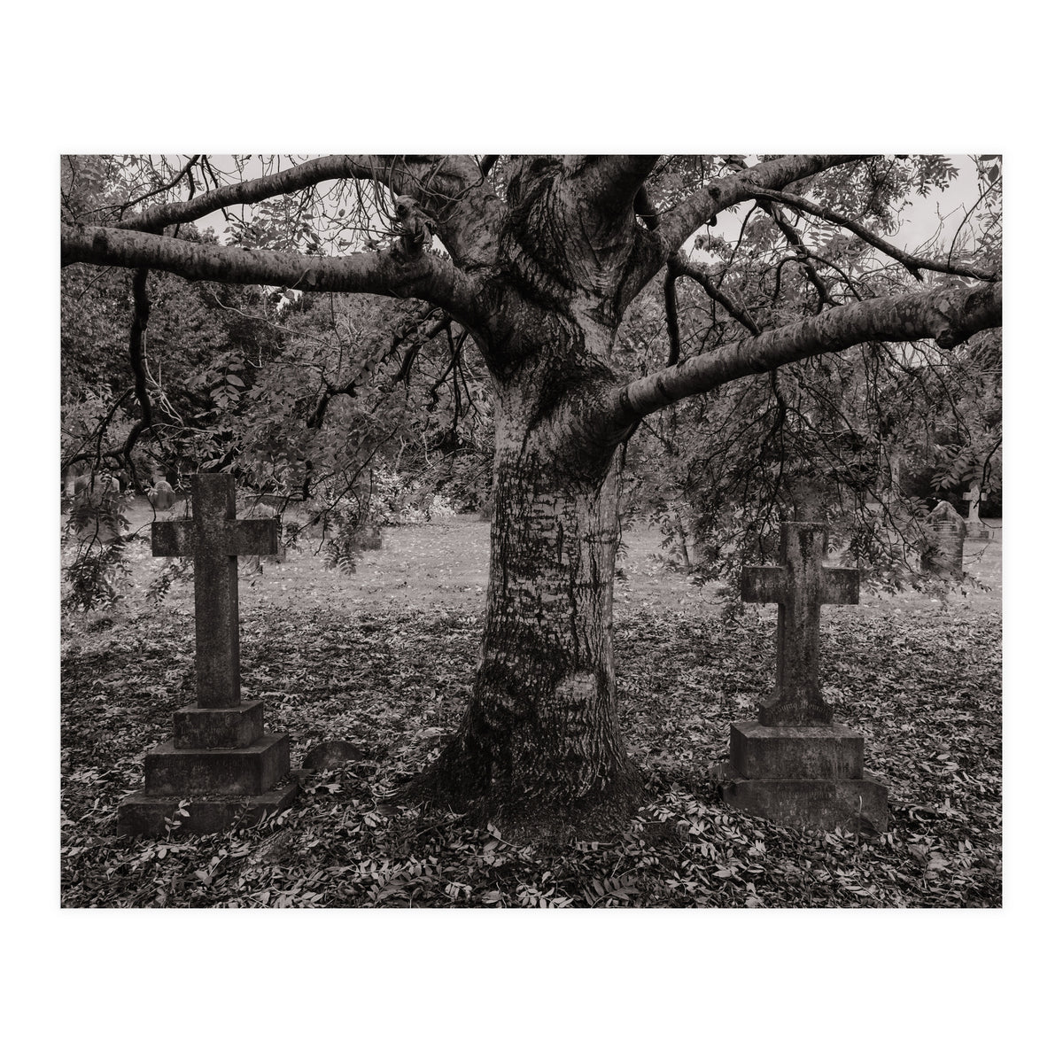 Golgotha (Print Only)