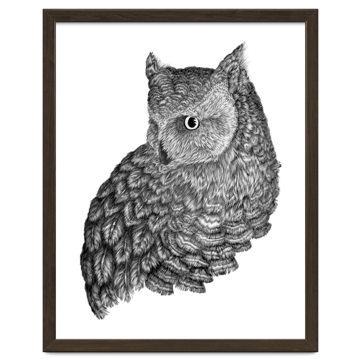 A Friend For Forsythe