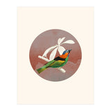 Bird Collage II (Print Only) thumbnail