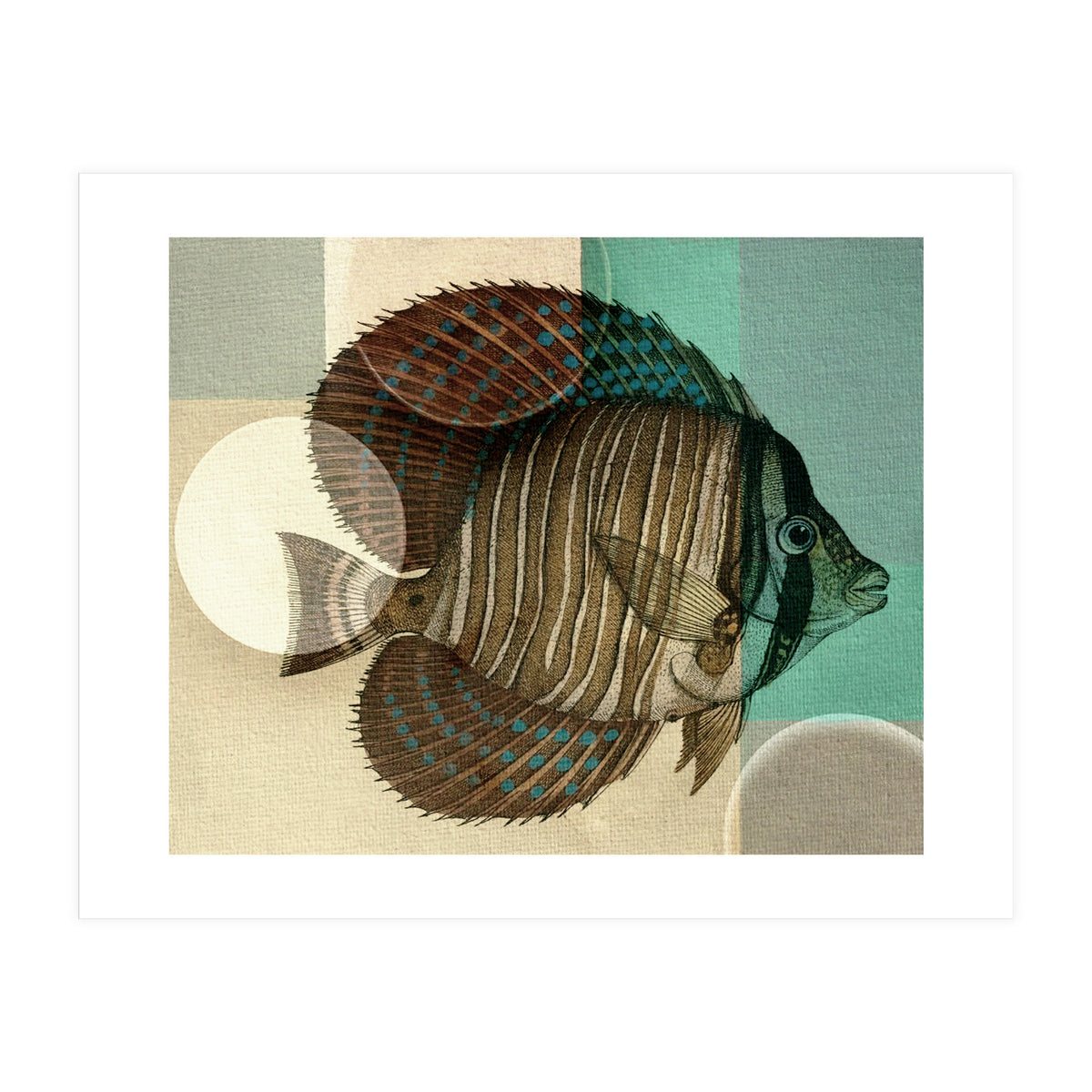 Fish Between Circles 4 (Print Only)