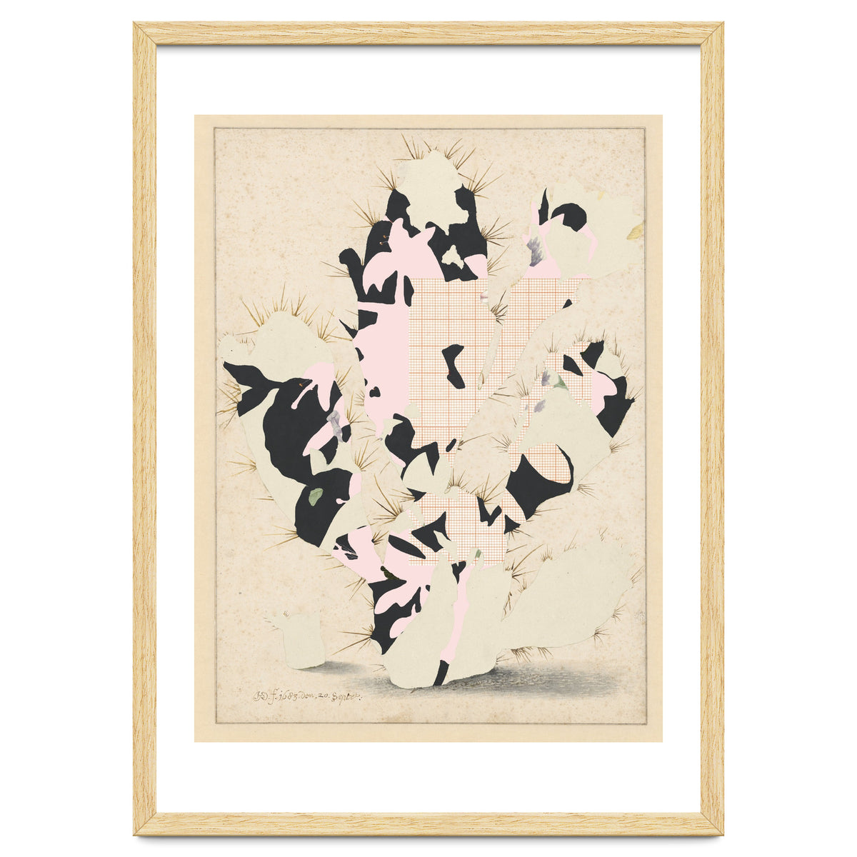 The First Plant · E