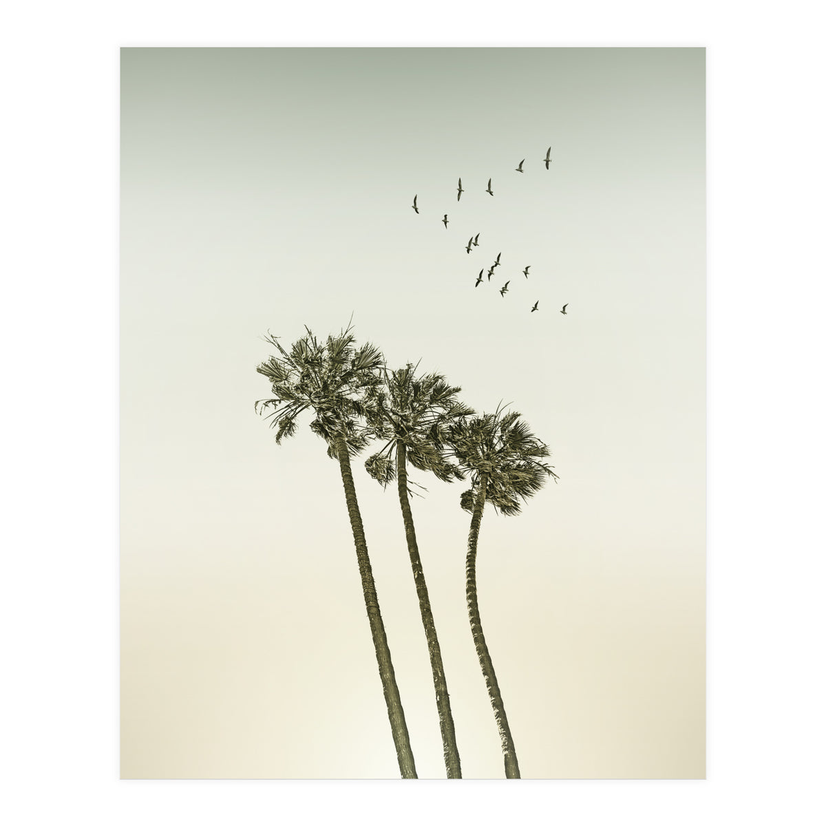 Vintage palm trees at sunset (Print Only)