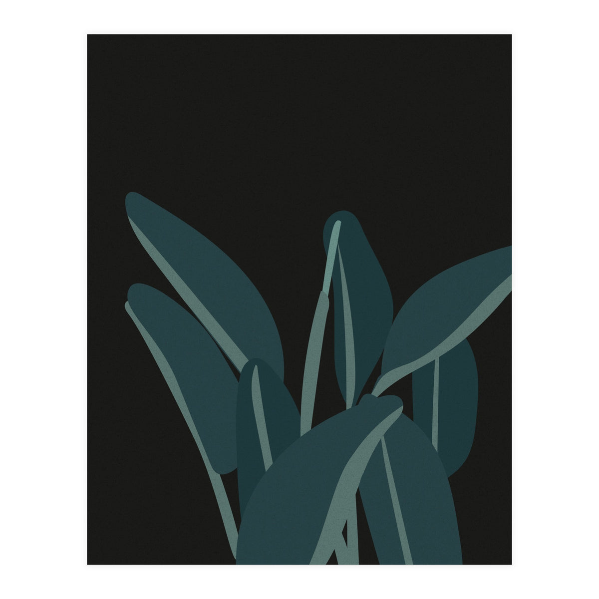 Bird Of Paradise (Print Only)