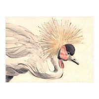 Crowned Crane (Print Only)