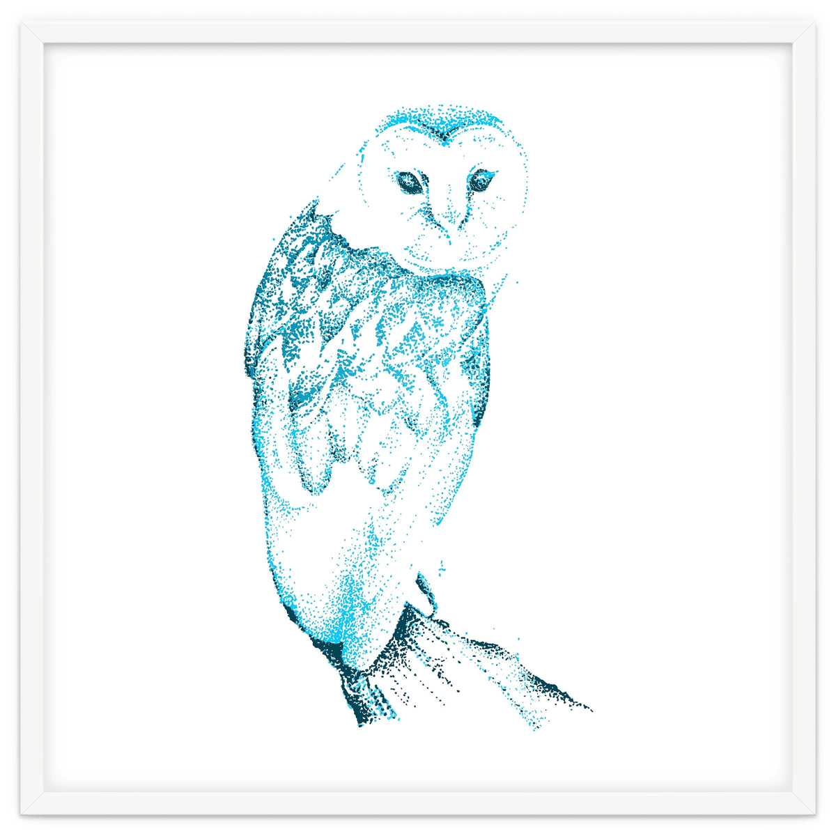 Barn Owl in Teal