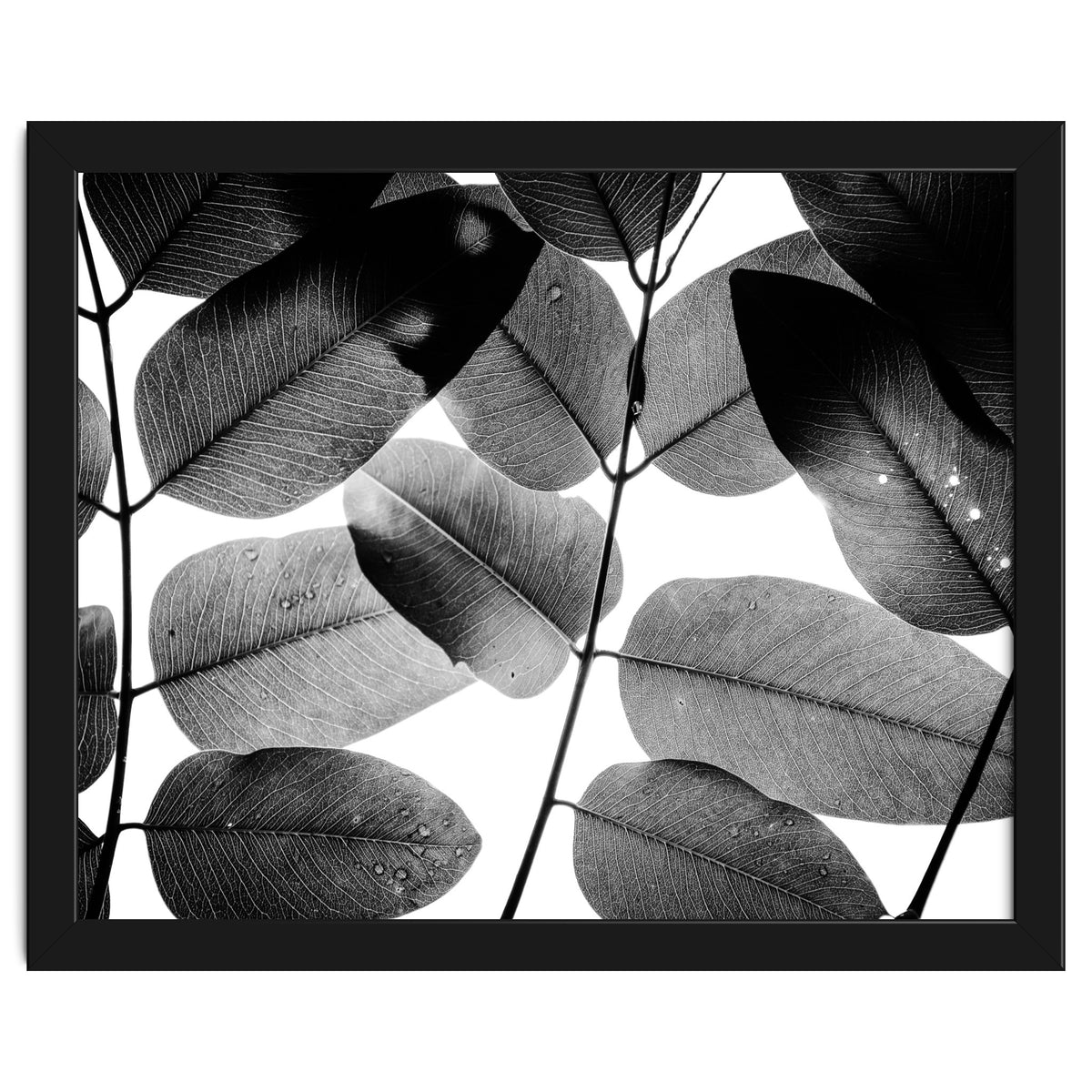 Experiments with Leaves II