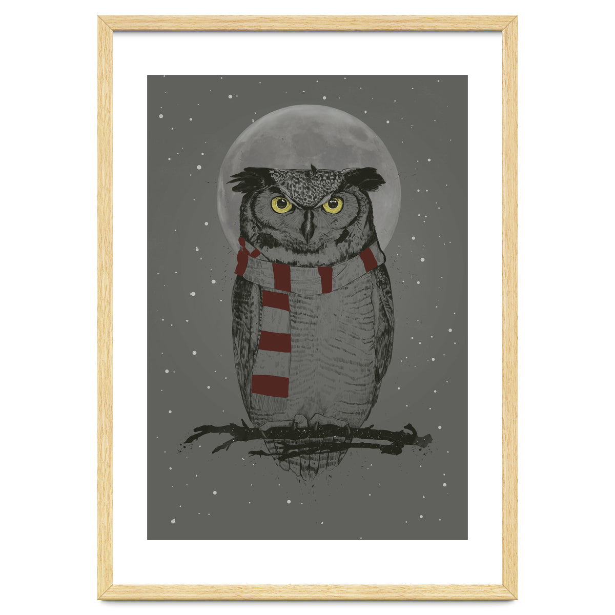 Winter Owl