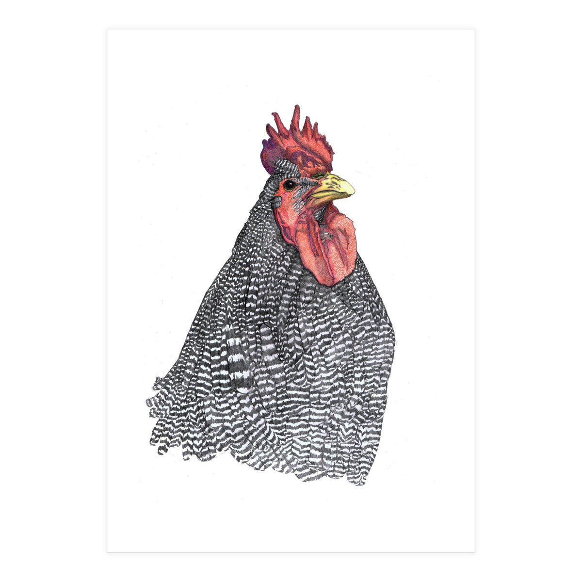 Chicken No.1 (Print Only)