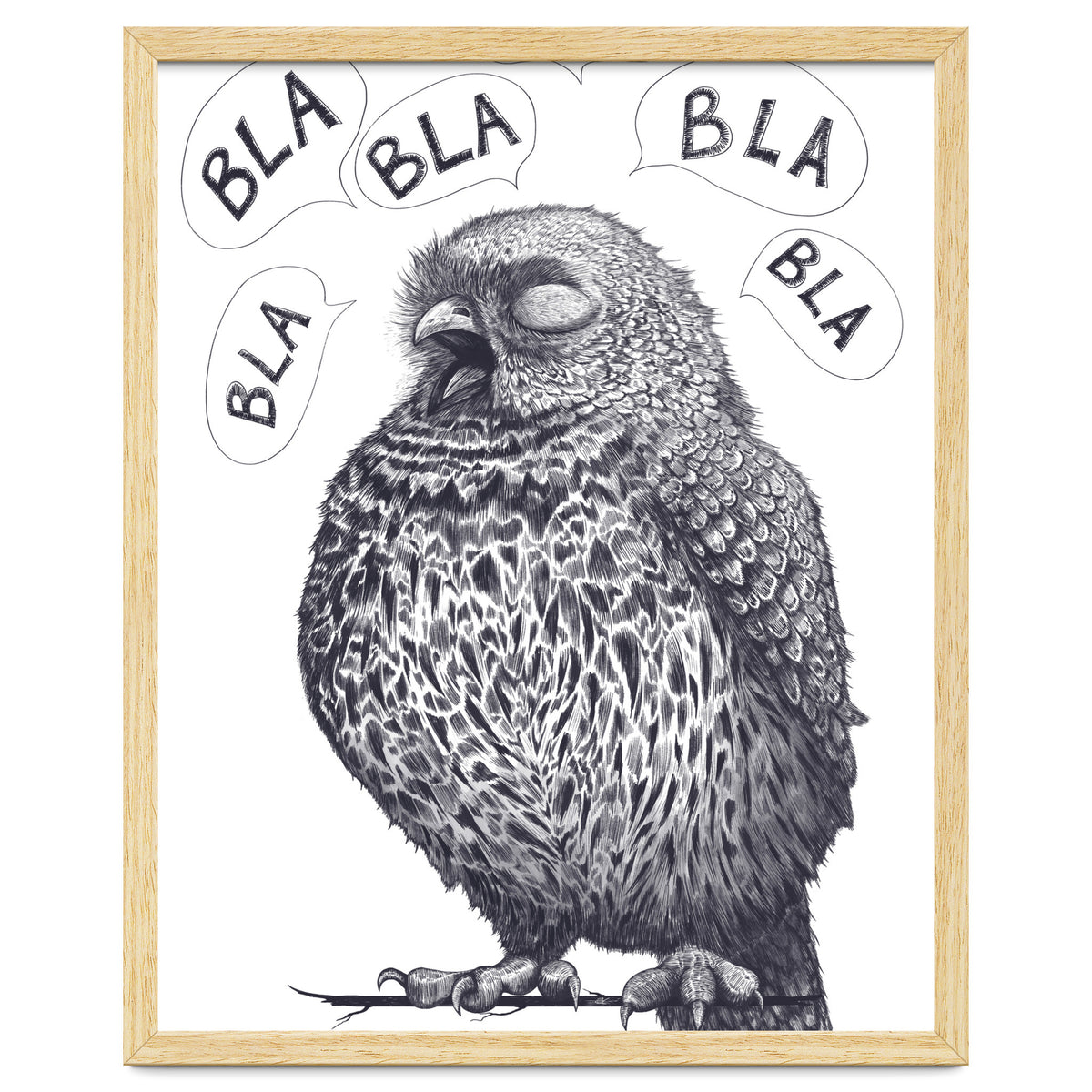 Owl Bla Bla Bla