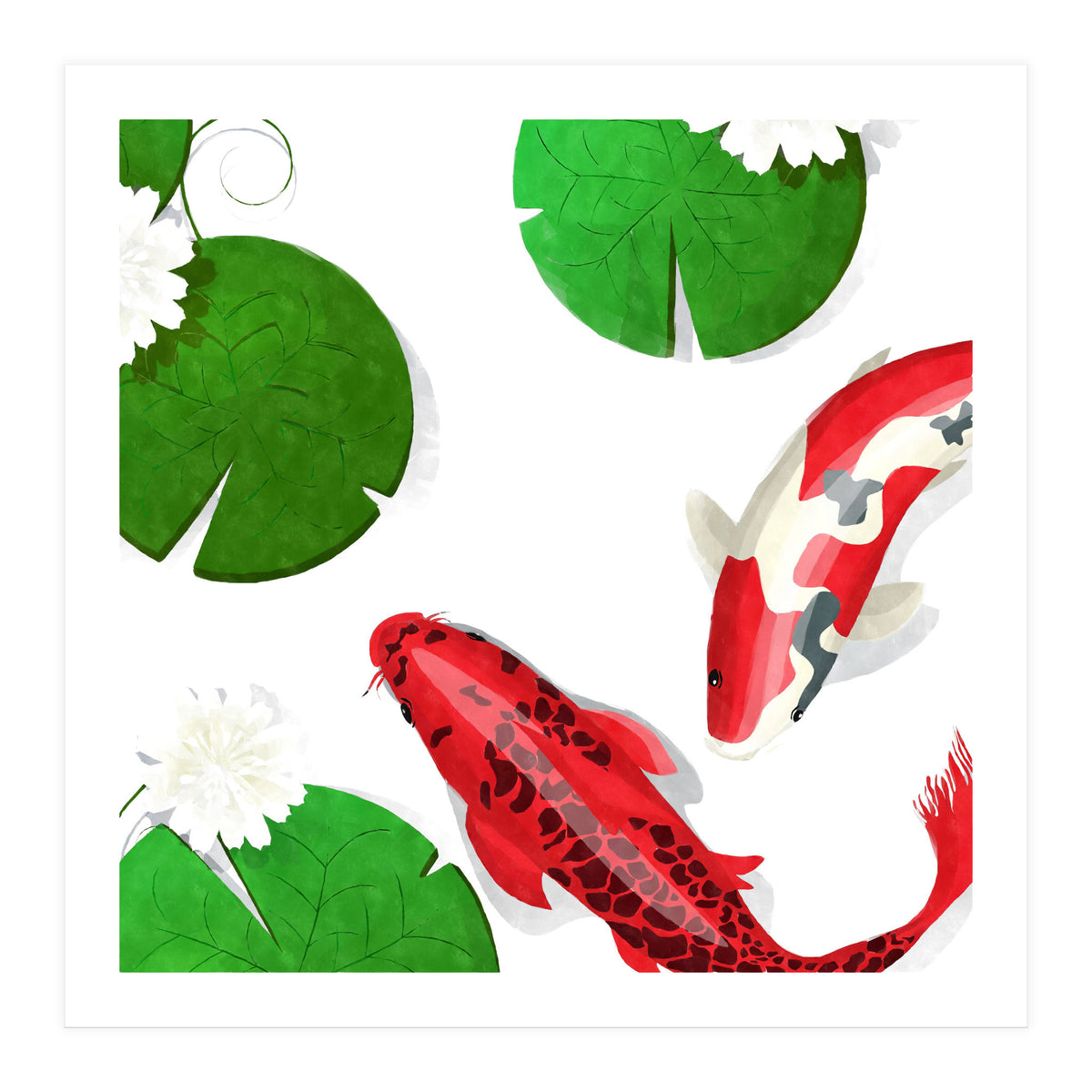 Watercolor Koi Fish (Print Only)