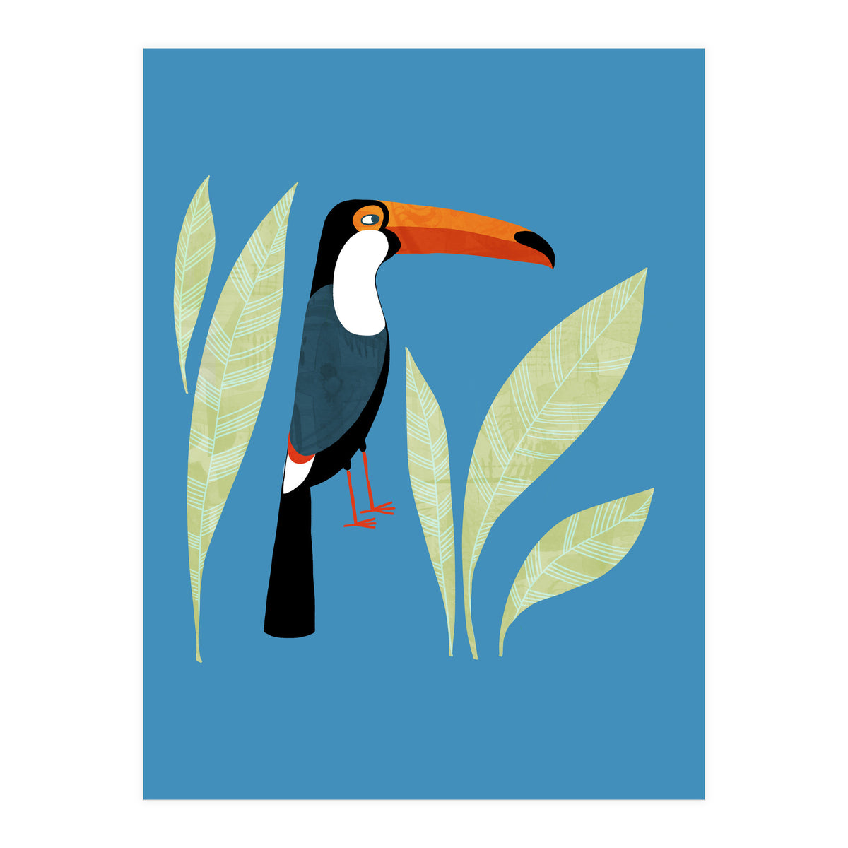 Toucan (Print Only)