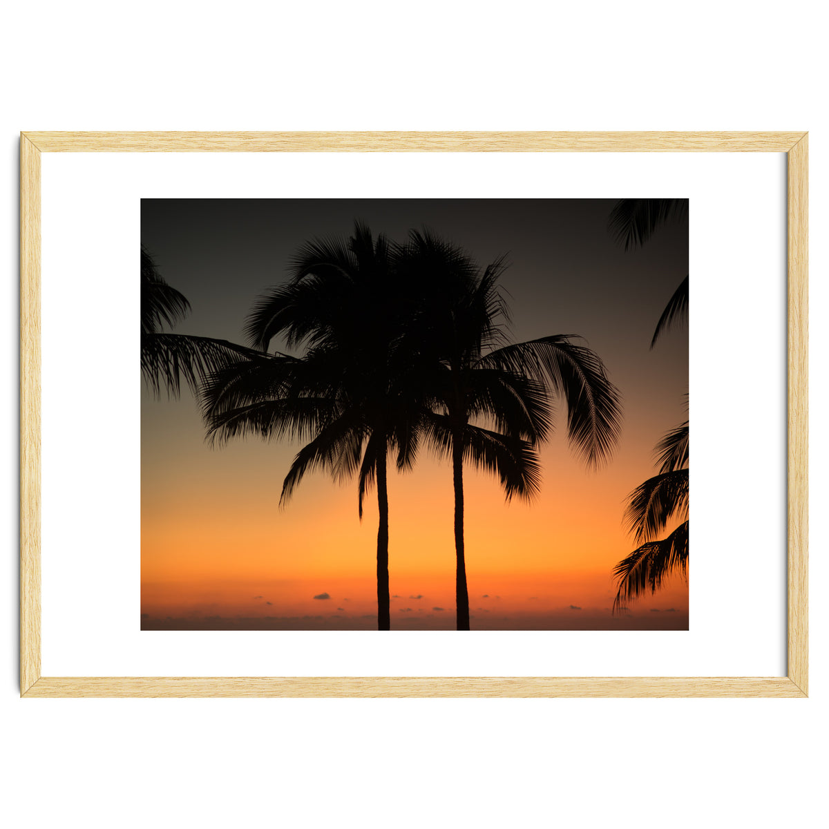 Mexico, November nights