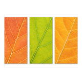 Autumn Leaves (Print Only) thumbnail