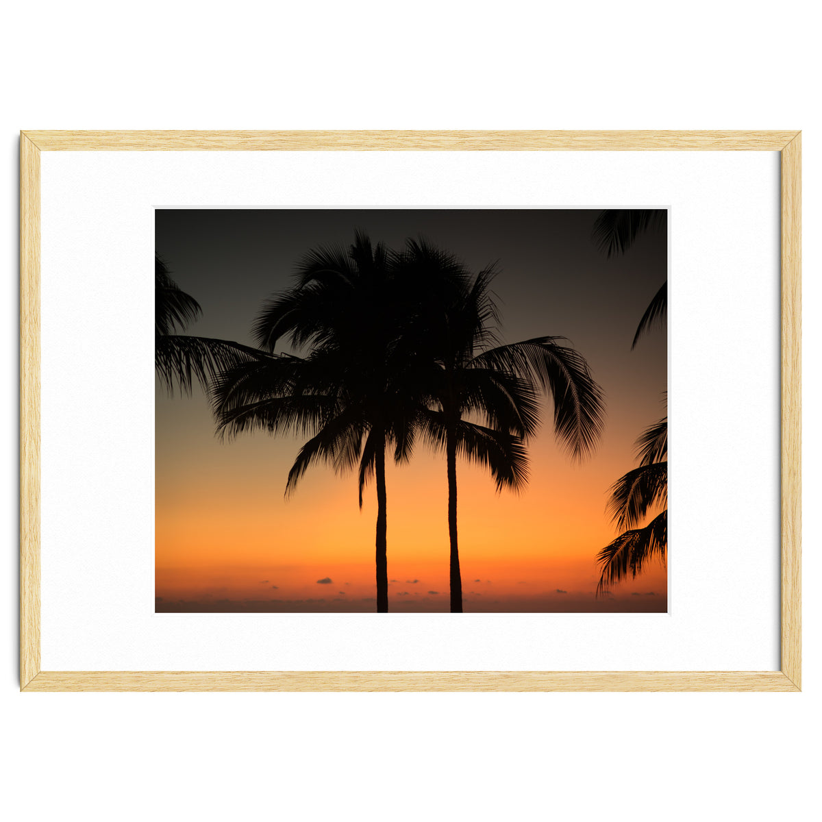 Mexico, November nights