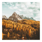 Let's Get Lost (Print Only) thumbnail