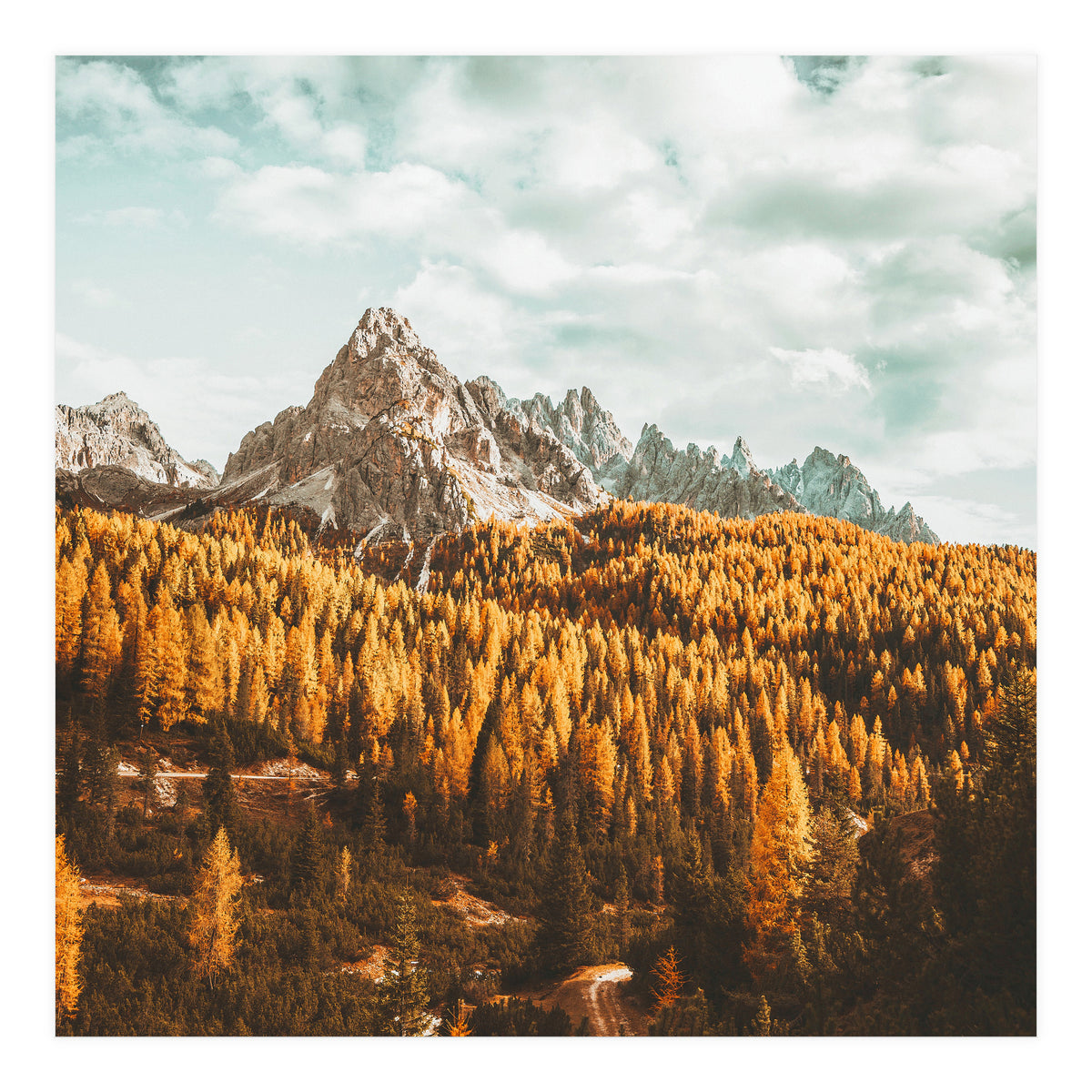 Let's Get Lost (Print Only)