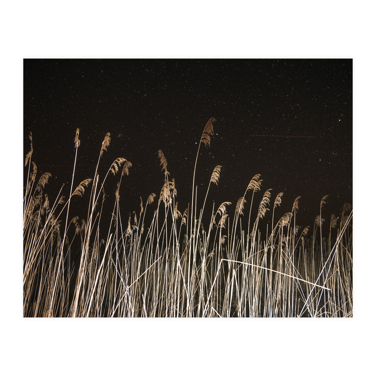 The Shining (Print Only)