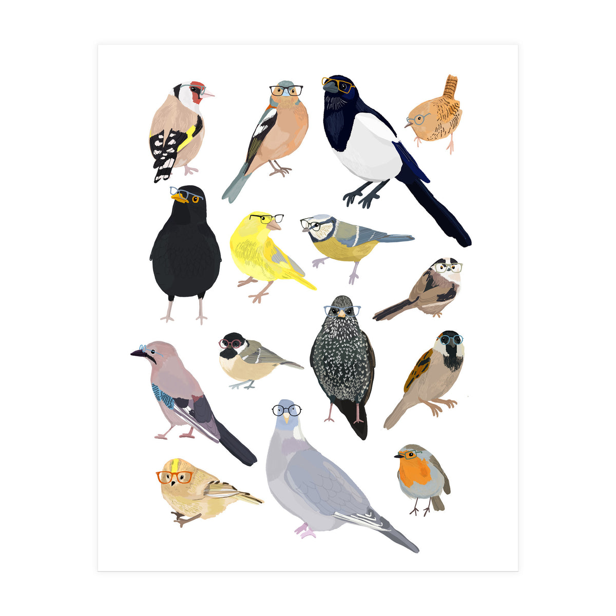 UK Birds in Glasses (Print Only)
