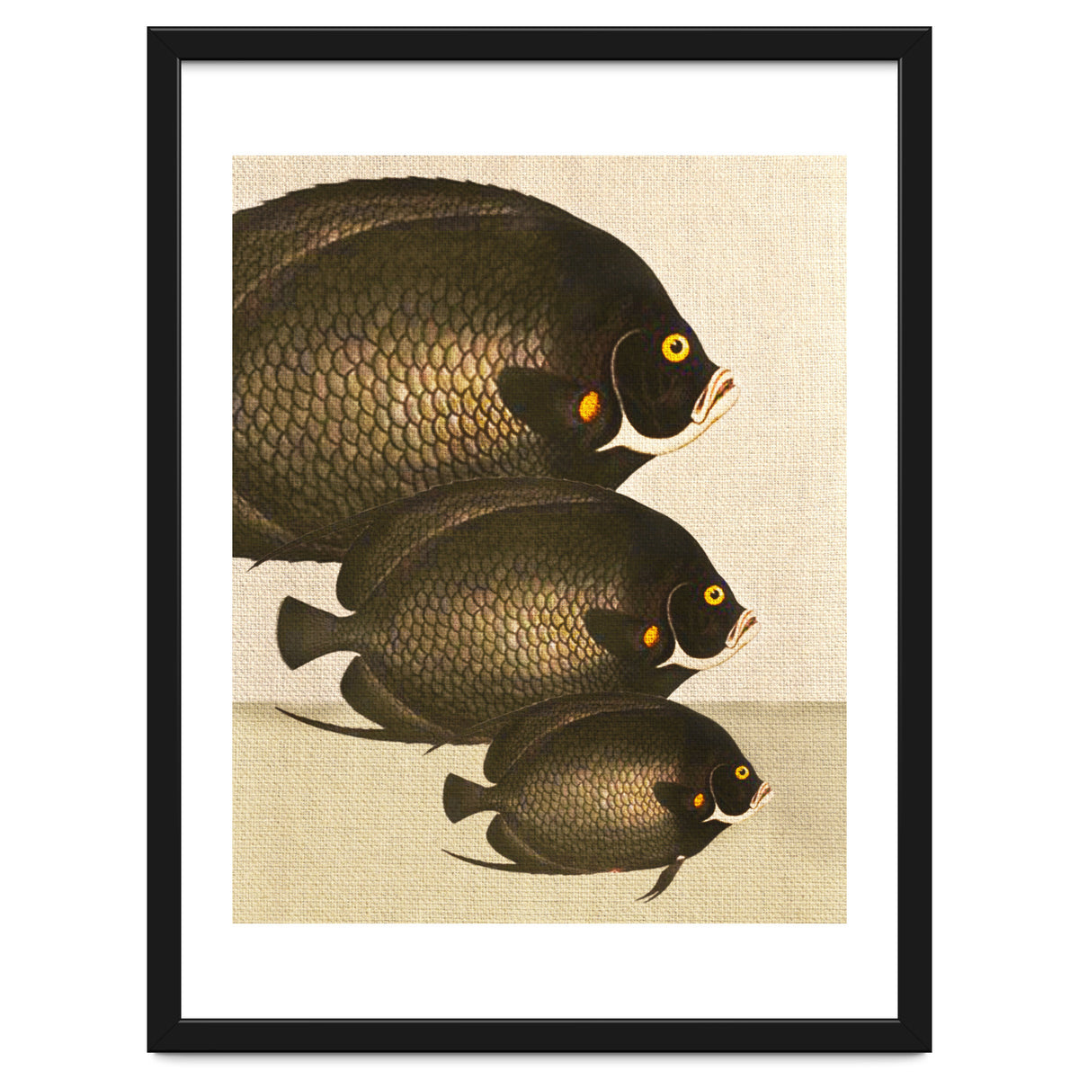 Fish Classic Designs 11