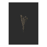 Moody Golden Botanicals (Print Only) thumbnail