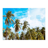 Bali (Print Only) thumbnail