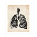 Lungs Anatomy (Print Only) thumbnail